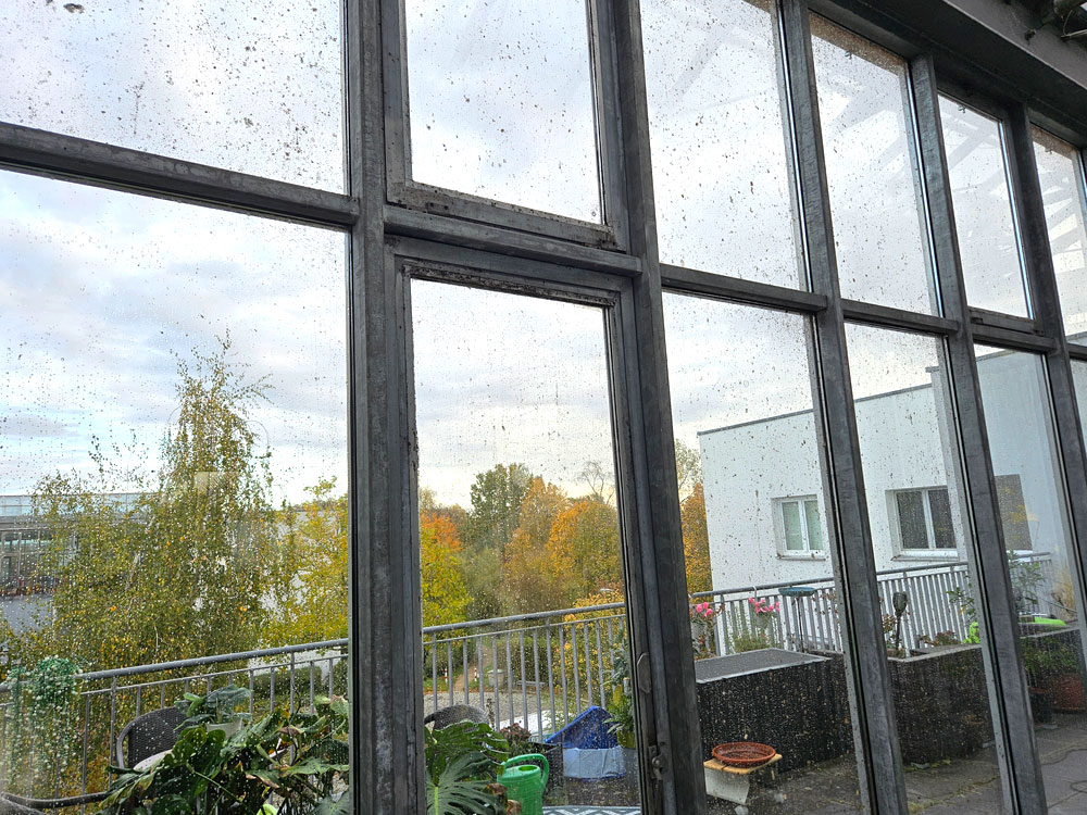 BBWO_2025_Fenster-vorher